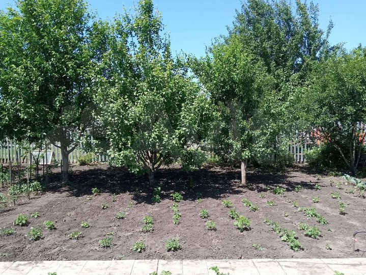 Дача 24 м² на участке 7,8 сот.