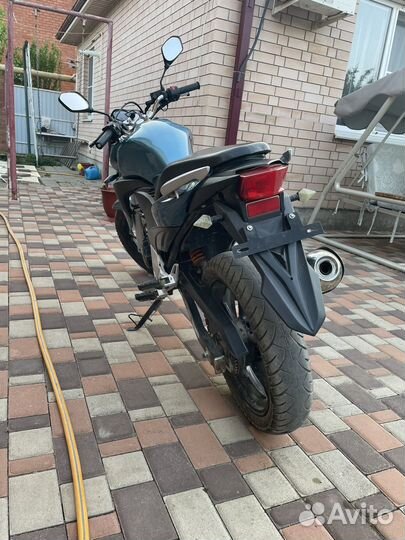 Stels Flex 250