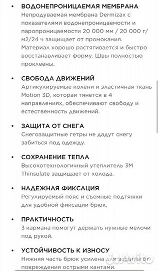 Горнолыжные брюки утепленые мужский descente