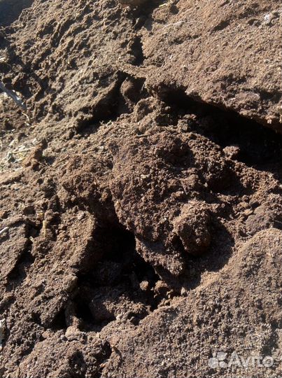 Торф Верховой