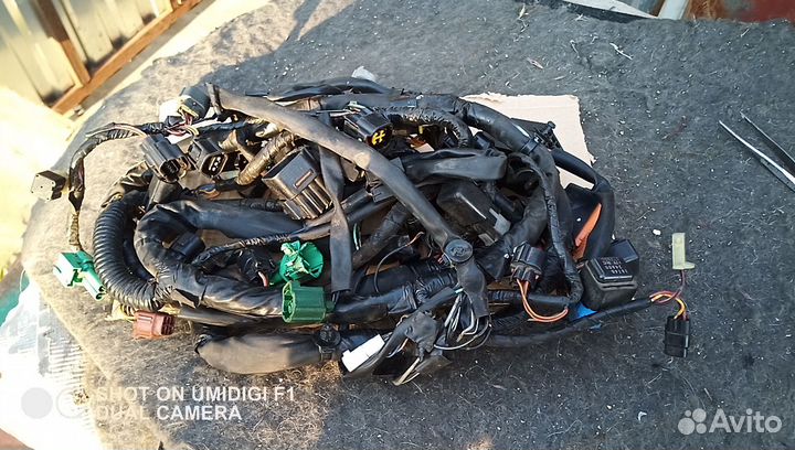 Коса проводки Suzuki vzr 1800 M109