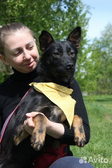 Трепетный и ласковый малыш Виктор ждет в клетке