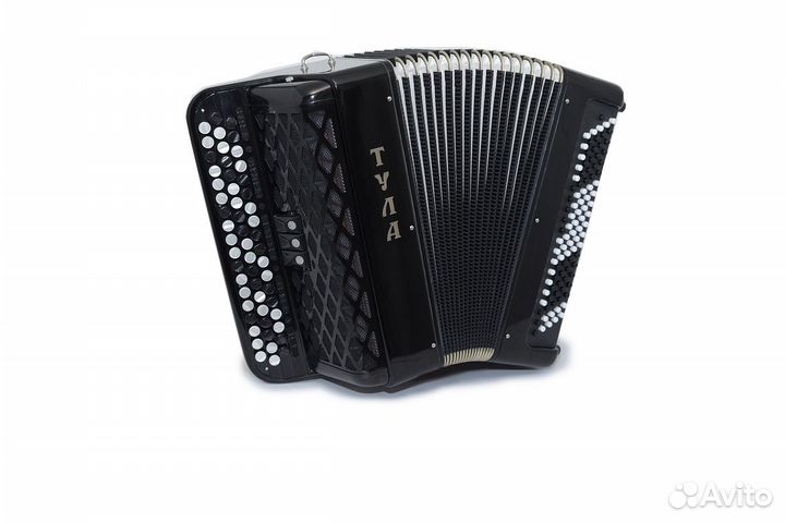 Баян ученический двухголосный BN-39-2