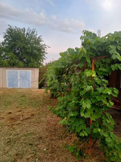 Дом 37,2 м² на участке 15 сот.