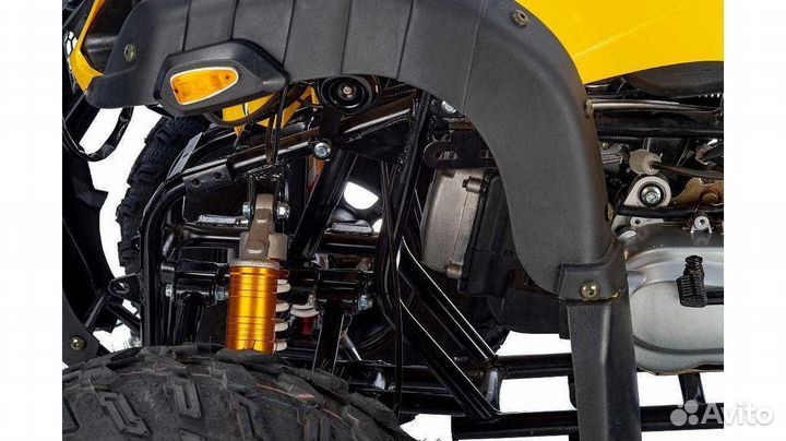 Квадроцикл Raptor Max Pro 250