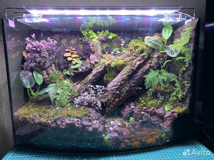 Флорариум в аквариуме