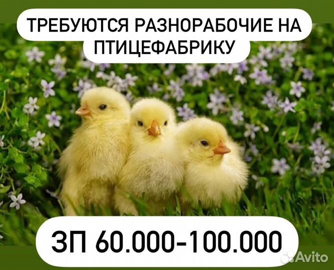 Разнорабочий вахтой в Свердловскую область