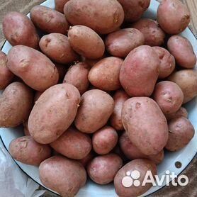 Картофель с доставкой