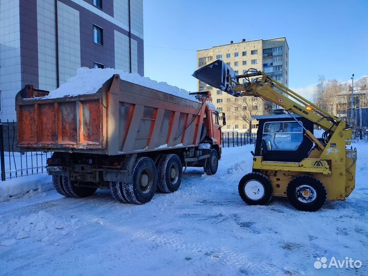 Услуги минипогрузчика Барсик