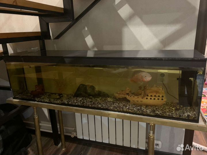 Аквариум