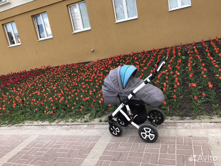 Коляска Adamex gloria 2 в 1