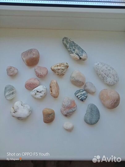 Морские ракушки и камушки