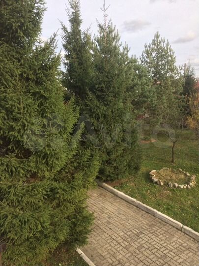 Коттедж 377 м² на участке 17,5 сот.