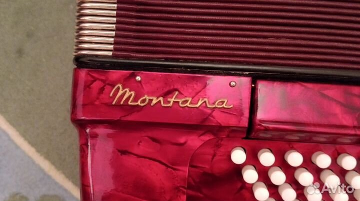 Аккордеон Royal Standard Montana