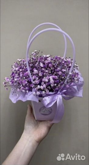 Гипсофила в коробке Микс. Доставка цветов Вологда