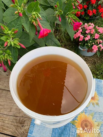 Мед липовый башкирский