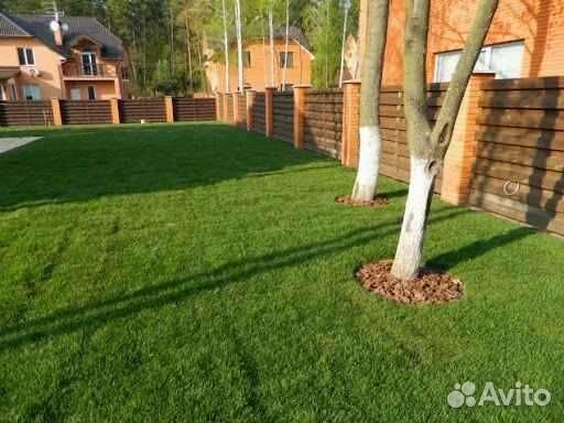 Укладка и продажа газона