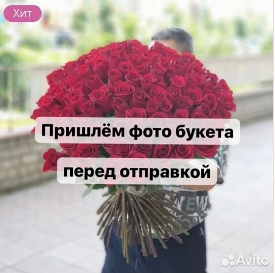 Альстромерия Рома Ромашка Хризантема