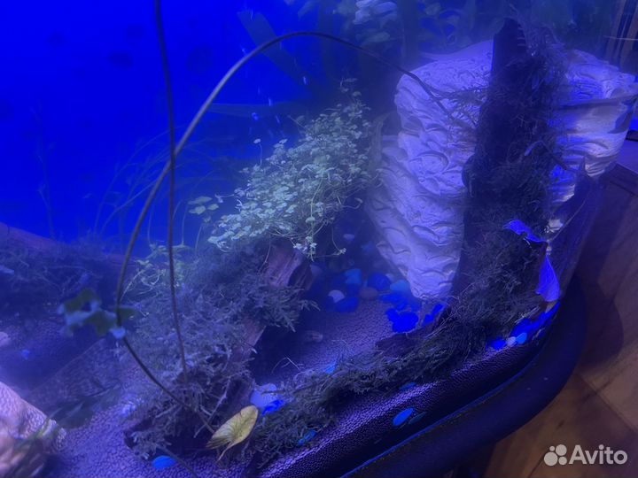 Аквариум 130 литртв