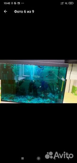 Аквариум