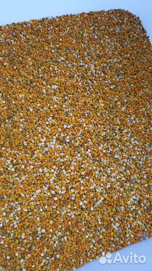 Пыльца цветочная