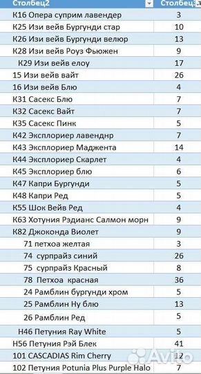Петуния, клубника