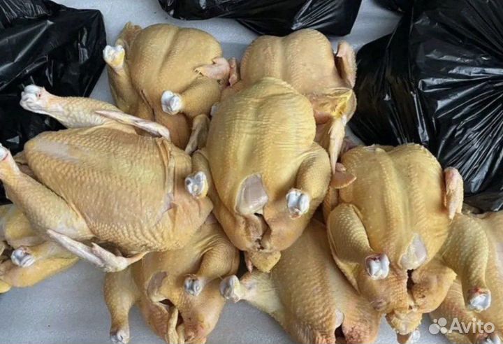 Тушки бройлера оптом