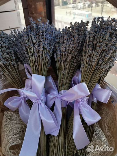 Букет лаванды