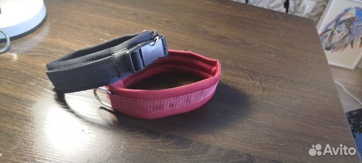 Амуниция для собак