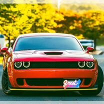 Dodge Challenger SRT 6.4 AT, 2020, 7 500 км, с пробегом, цена 11 000 000 руб.