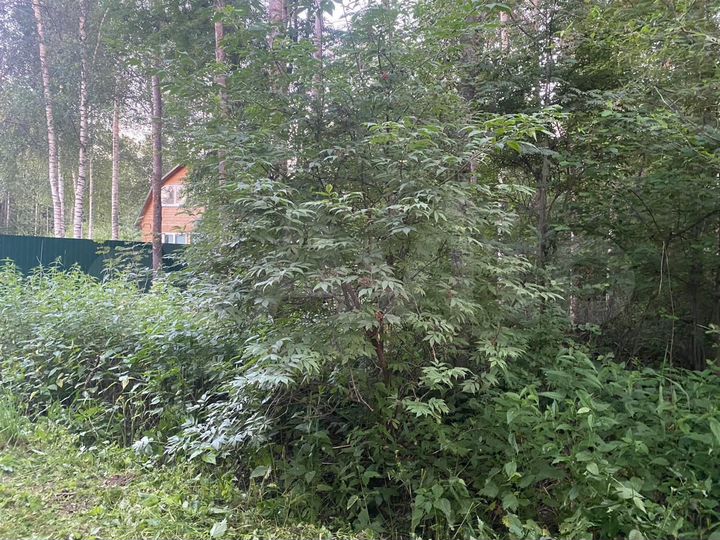 Участок 10 сот. (СНТ, ДНП)