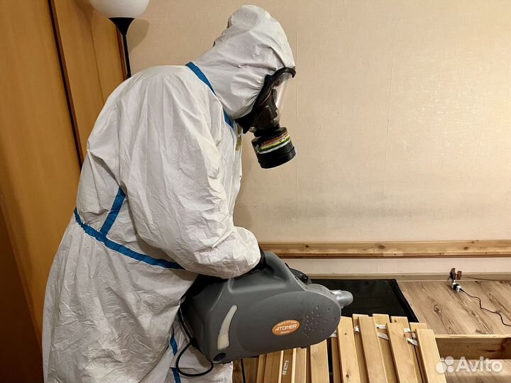 Уничтожение клопов, тараканов. Дезинфекция