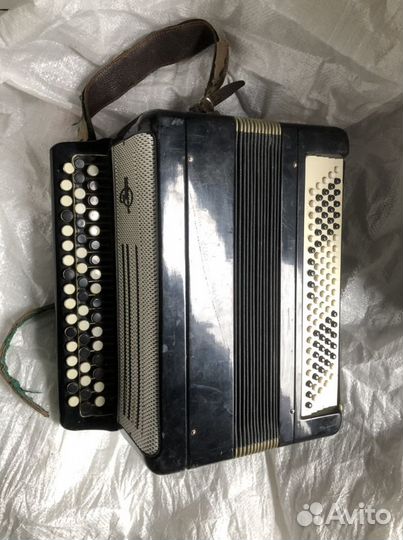 Баян тульский