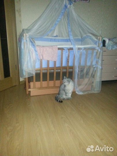 Кровать Можга