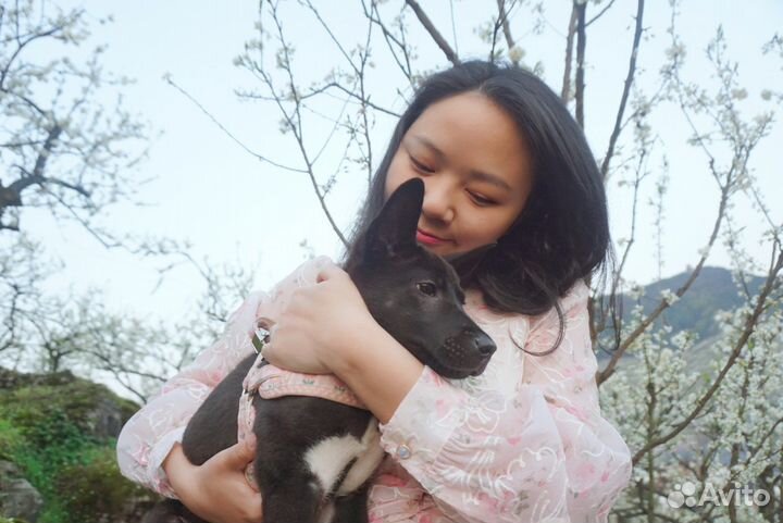 Репетитор по китайскому языку носитель