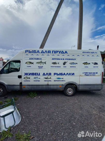 Перевозка живой рыбы