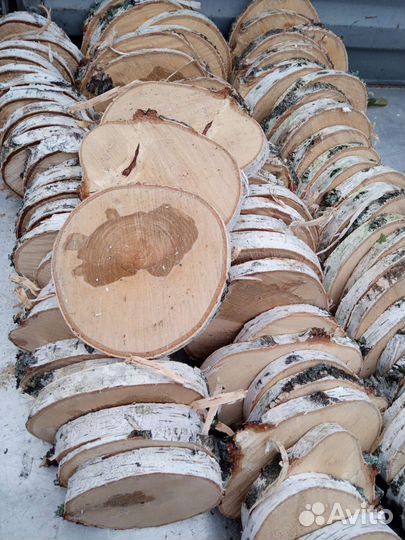 Спилы березы