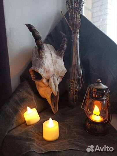 Череп из папье-маше