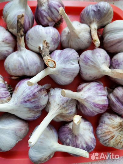 Малиновое варенье не вареное и клубничное