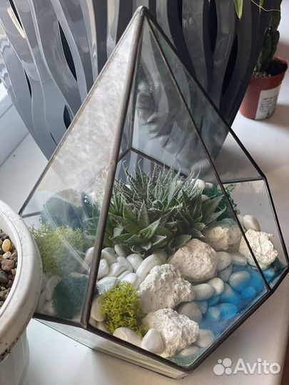 Флорариум Капля