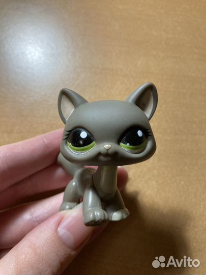 Littlest pet shop