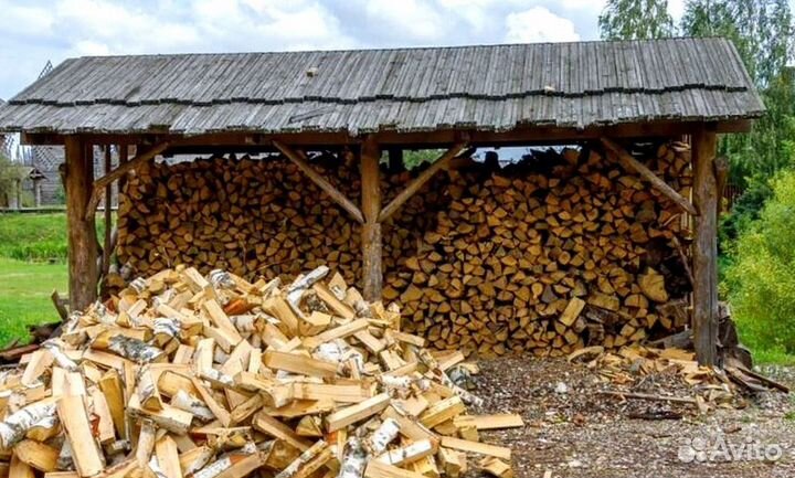 Дрова свежайшие