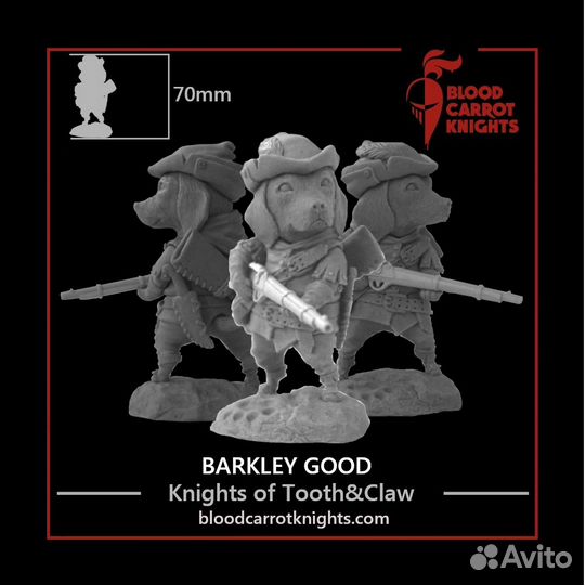 Миниатюра Blood Carrot Knights BCK-CM-006