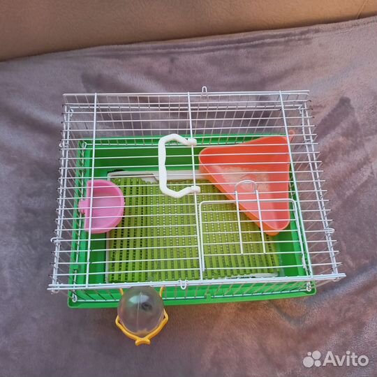 Клетка