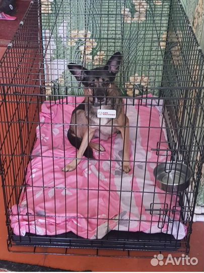 Клетка чёрная длина 108 см