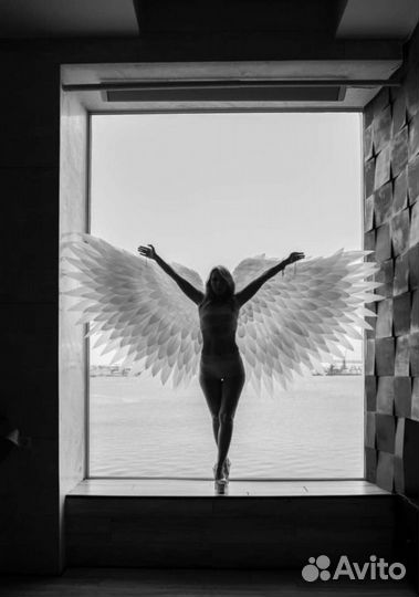 Крылья Ангела в аренду