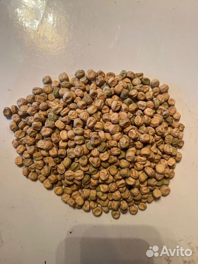 Семена горошка сладкого