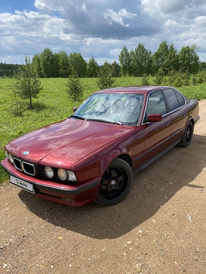 BMW 5 серия: фото владельца