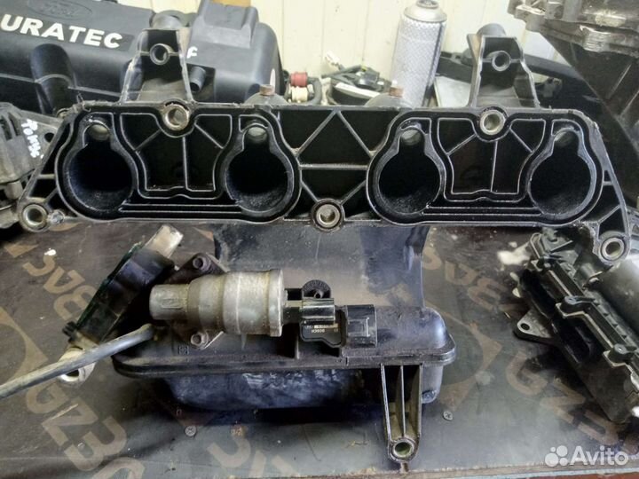 Впускной коллектор Ford Focus 1