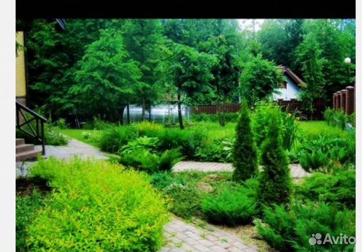 Ландшафтное благоустройство/озеленение.Газон